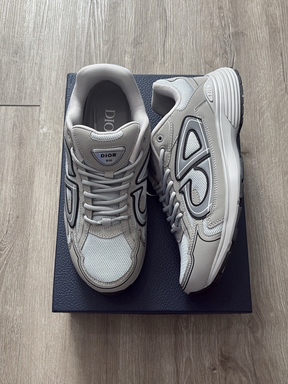 Dior B30 Grey